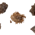Buy Raw MDMA Molly