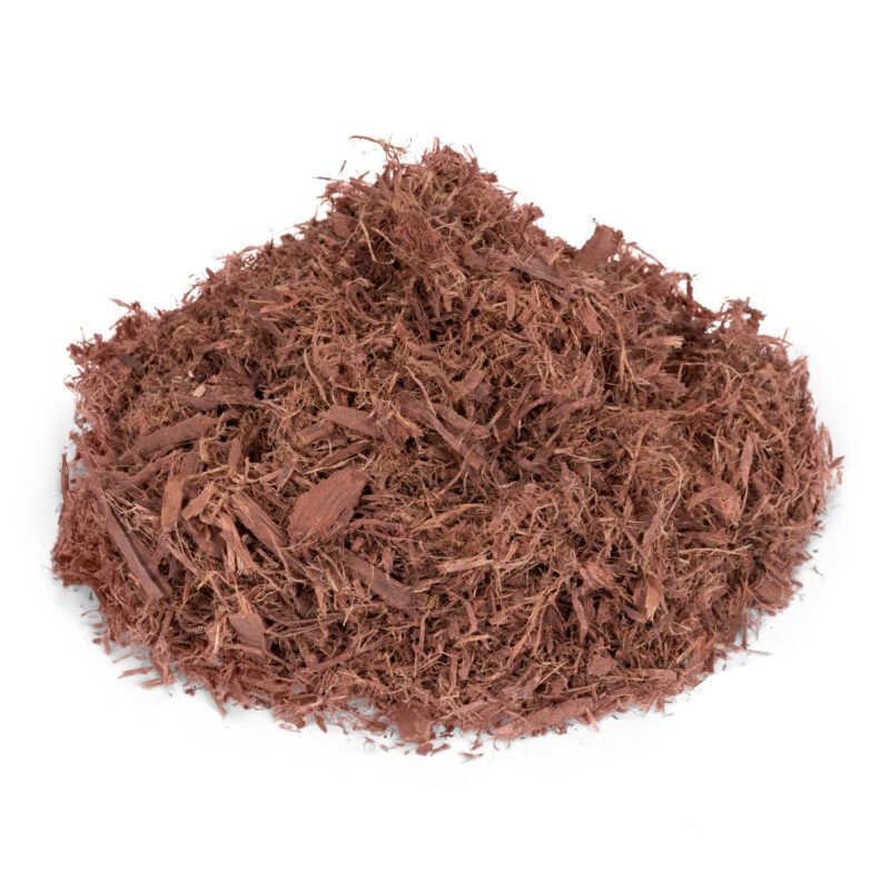 Buy Mexican – Mimosa hostilis Inner root bark | Jurema Preta